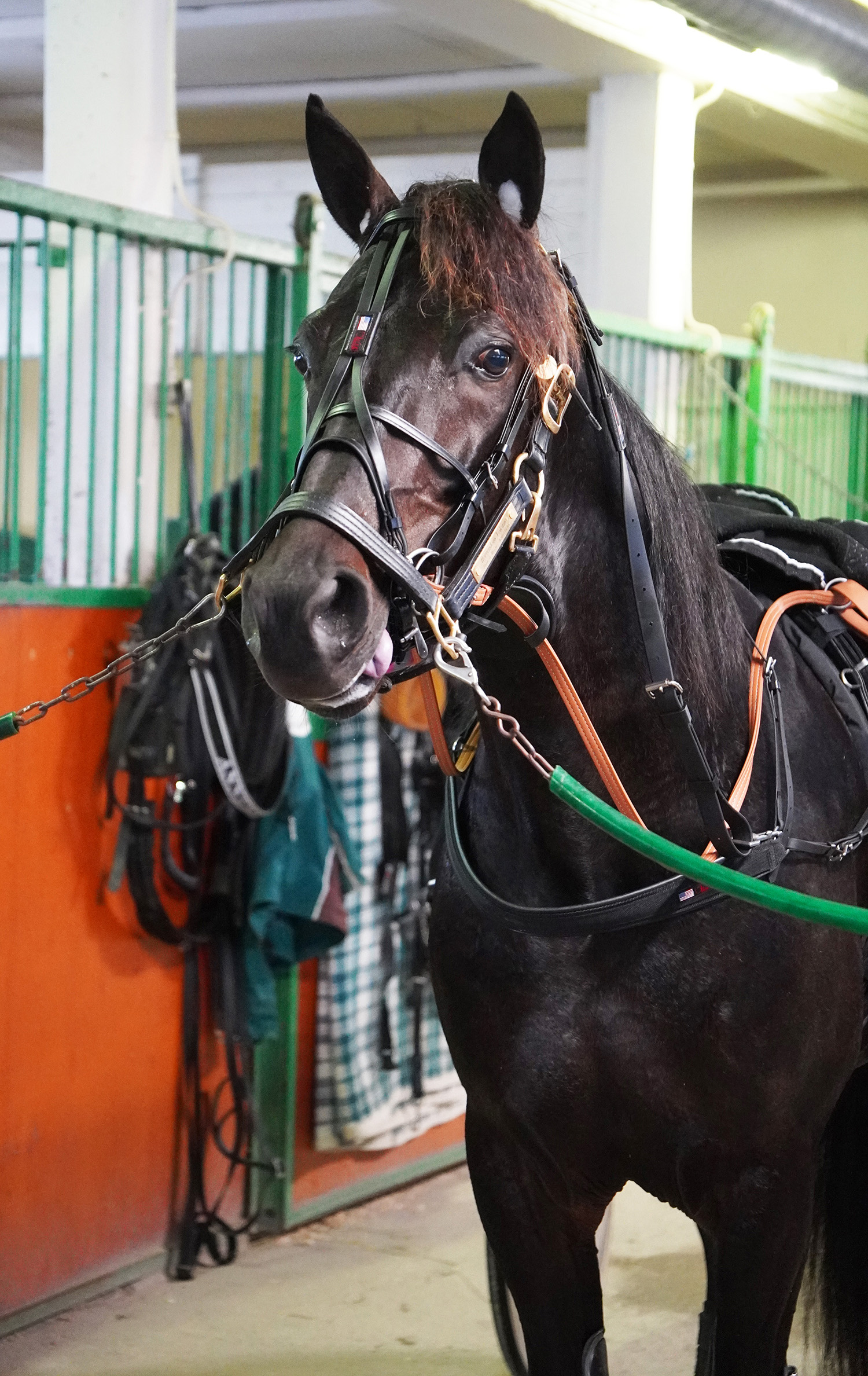 Horrendous Vulcano 251119-4